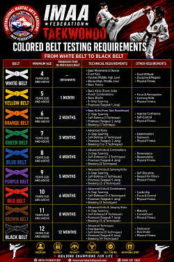 COLORED BELTS TEST REQUIREMENTS